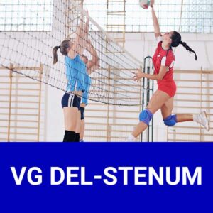 img beitragsbild vg delmenhorst stenum